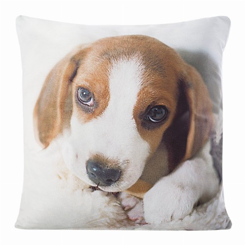 chp_animal_33_40x40[P1].jpg