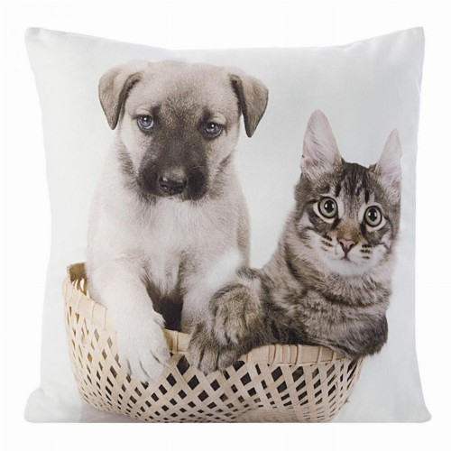 chp_animal_27_40x40[P1].jpg