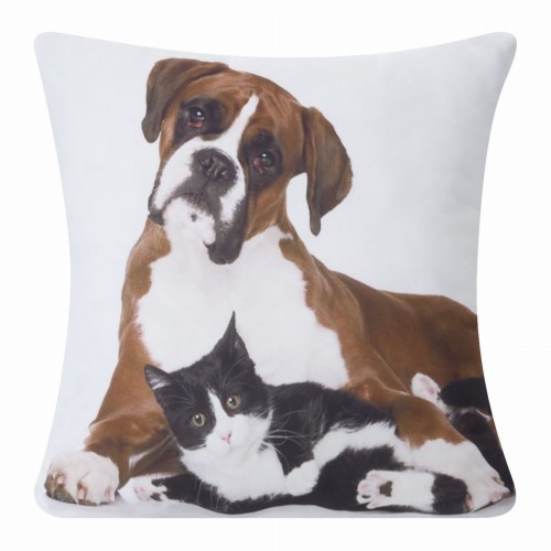 chp_animal_65_40x40[P1].jpg