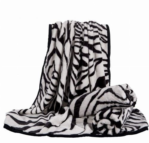 zebra.jpg